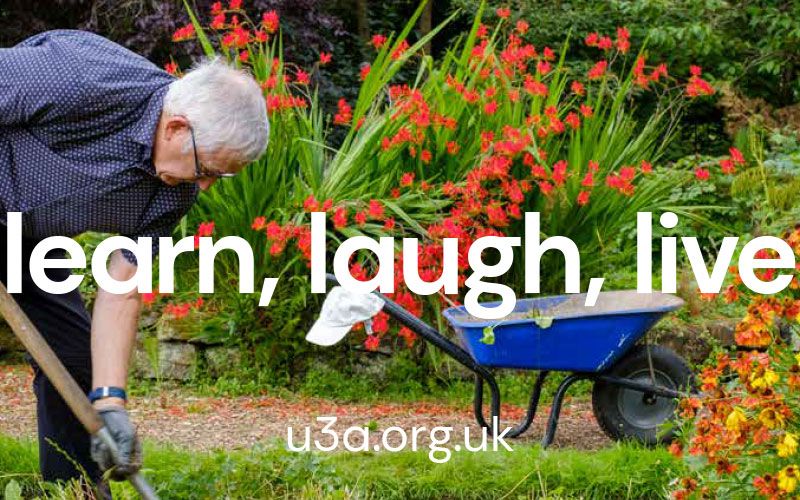 A Guide to the New Branding