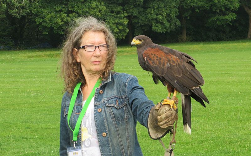 U3A Falconry Course