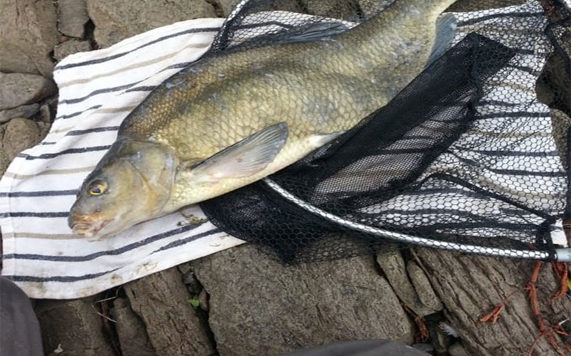 Meet up and Fish