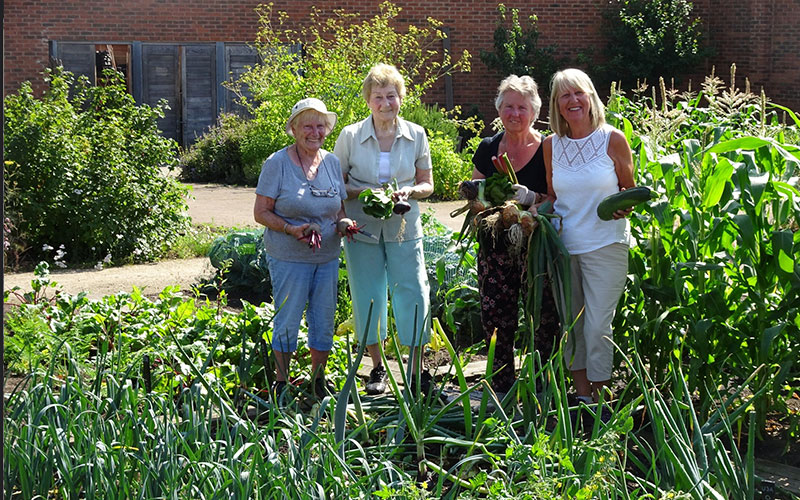 Grow Your Own