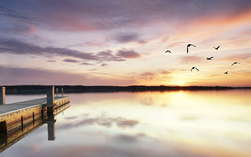 Mental Health and The Third Age