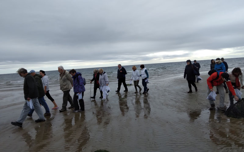 Foraging for Seaweed