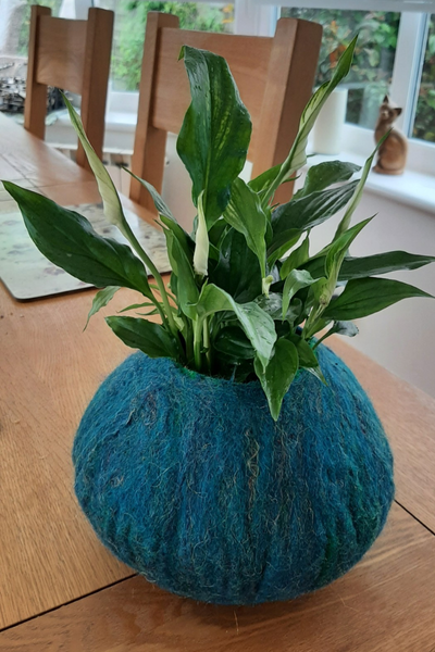A blue wet felted bowl holding a plant