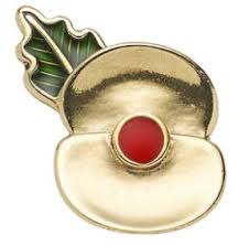 commemorative poppy pin