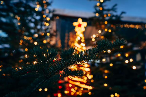 blurry christmas trees lit up with yellow lights