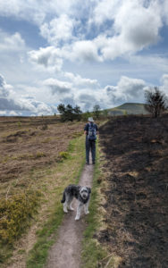 A man and a dog on a walk in the country