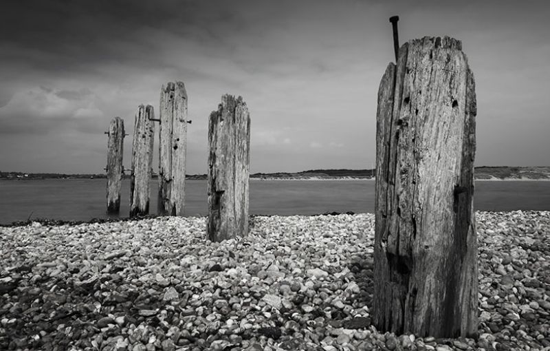 Write Your Life Story