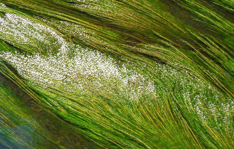 A Virtual Photography Competition