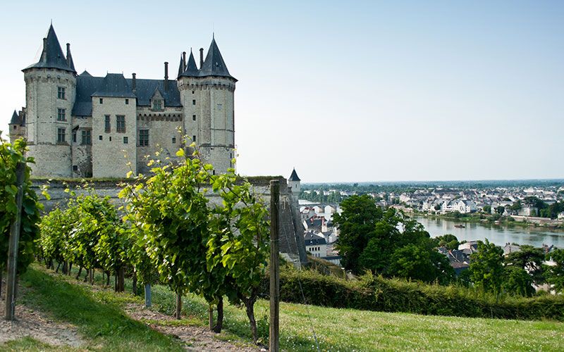 Up the Loire