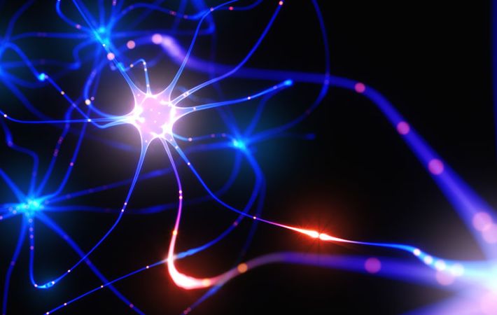 What is neurogenesis?