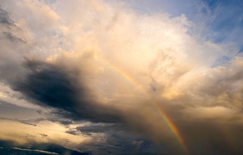 Reflections on a Year of Lockdown