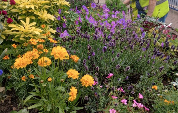 Stourbridge in Bloom