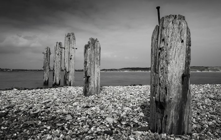 Write Your Life Story