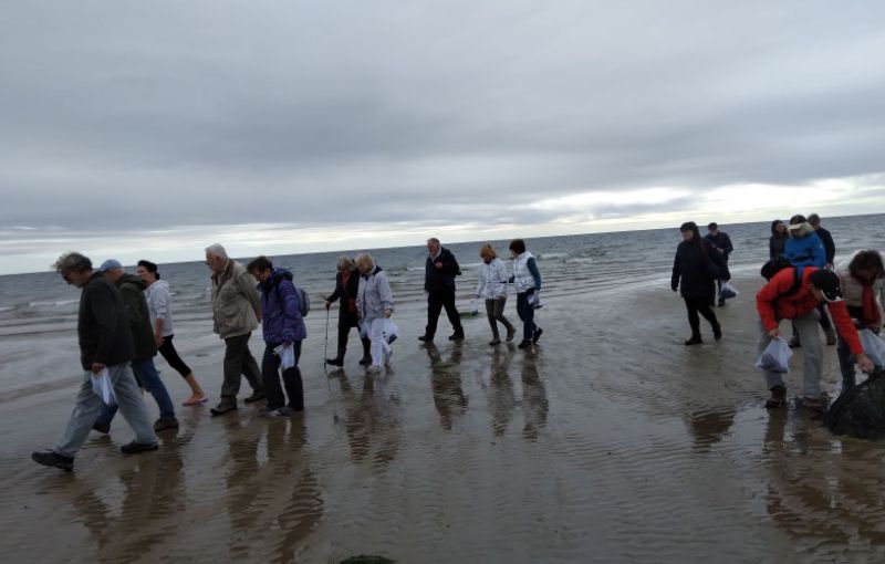Foraging for Seaweed
