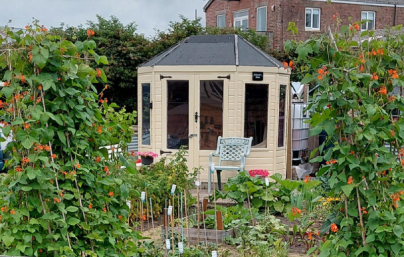 How to build a u3a allotment garden