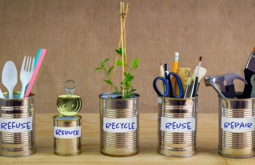 Sustainable Living Tips for A New Year