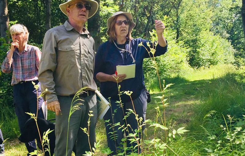 Wellbeing with Nature