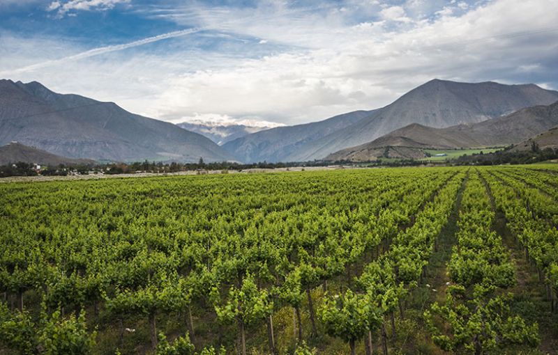 All Change for Chile