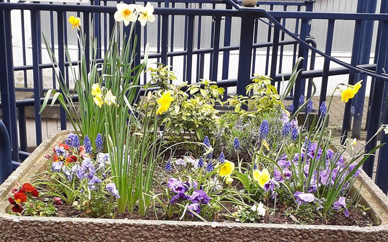 Stourbridge u3a Planter