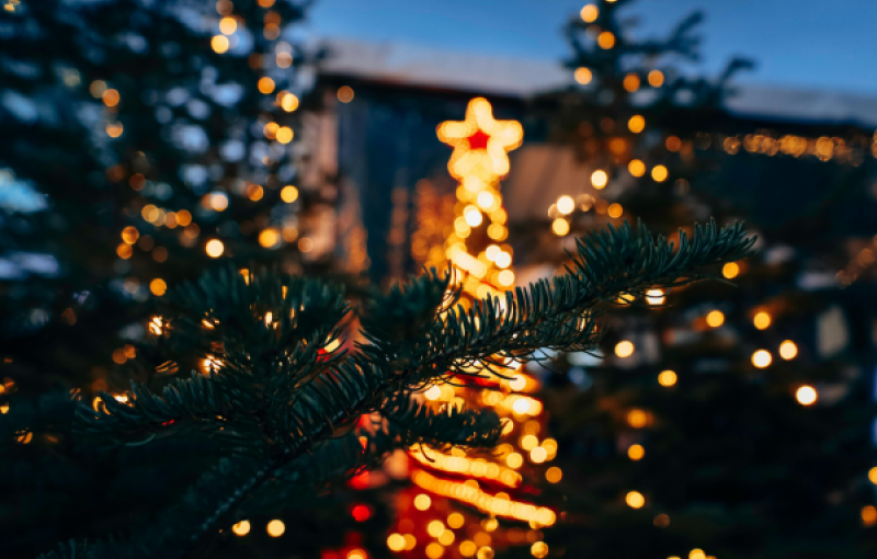 Radiant traditions: How festivals of light inspire society