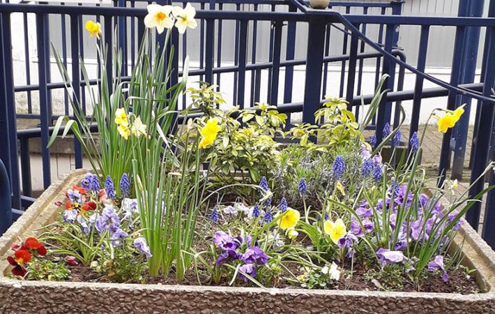 Stourbridge u3a Planter