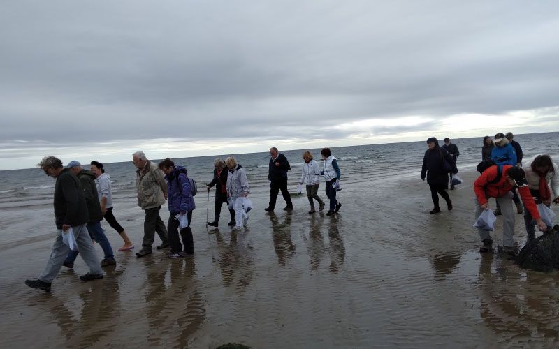 Foraging for Seaweed
