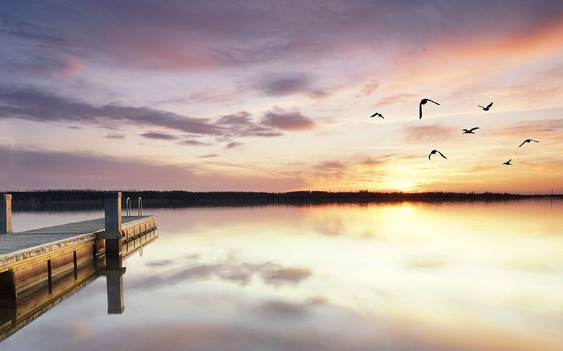 Mental Health and The Third Age
