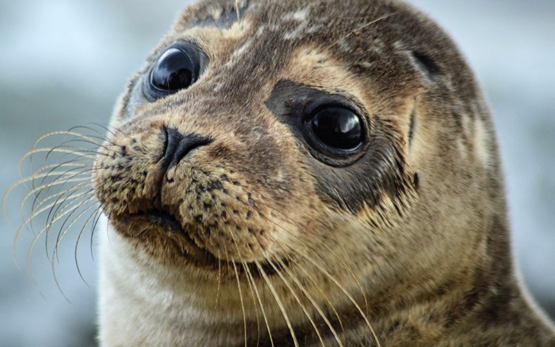 Isles of Scilly u3a Action on Climate Change