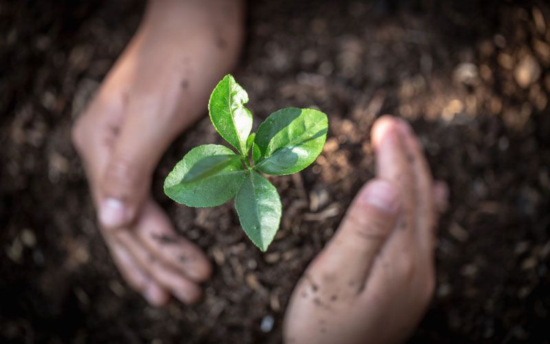 What can be done about climate change?