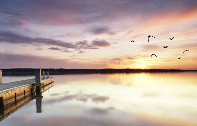 Mental Health and The Third Age