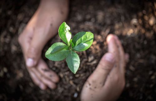 What can be done about climate change?