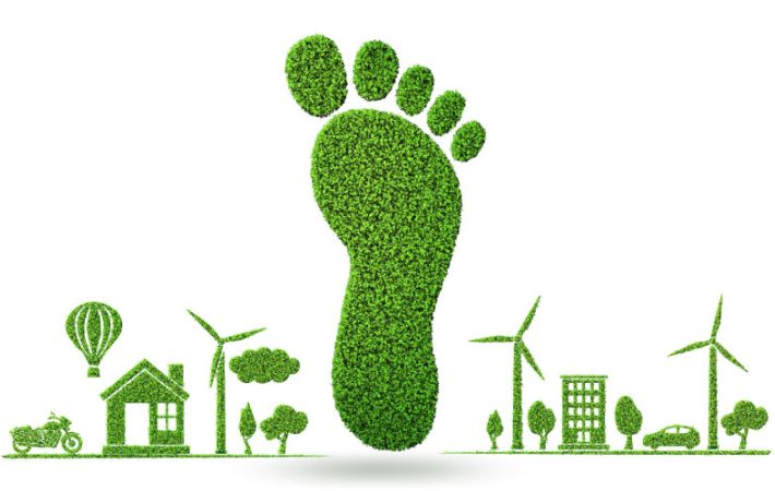 How to reduce your carbon footprint - and save money