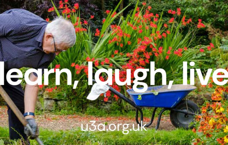 A Guide to the New Branding