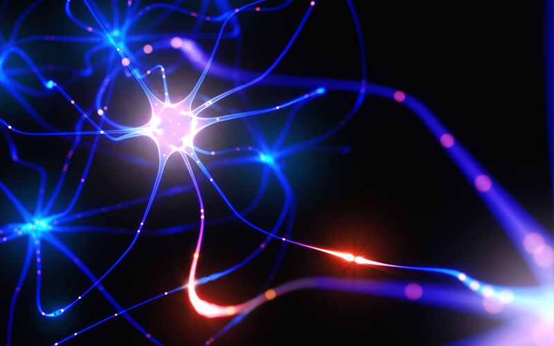 What is neurogenesis?