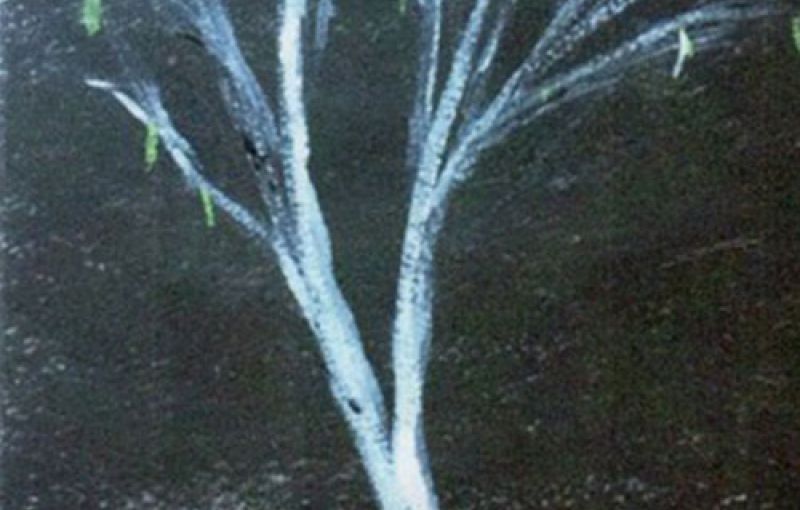 Multidisciplinary Group