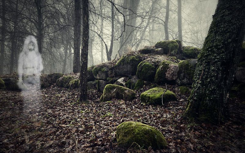 Spirits of Sussex