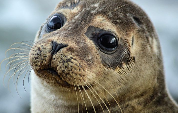 Isles of Scilly u3a Action on Climate Change