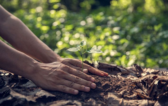 Learning more about Ecology