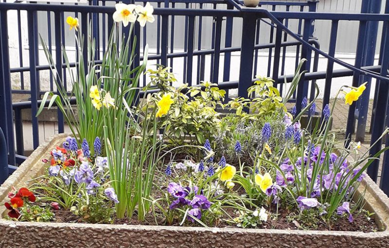 Stourbridge u3a Planter