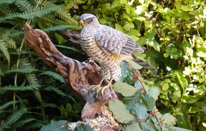 Getting to the art of the matter