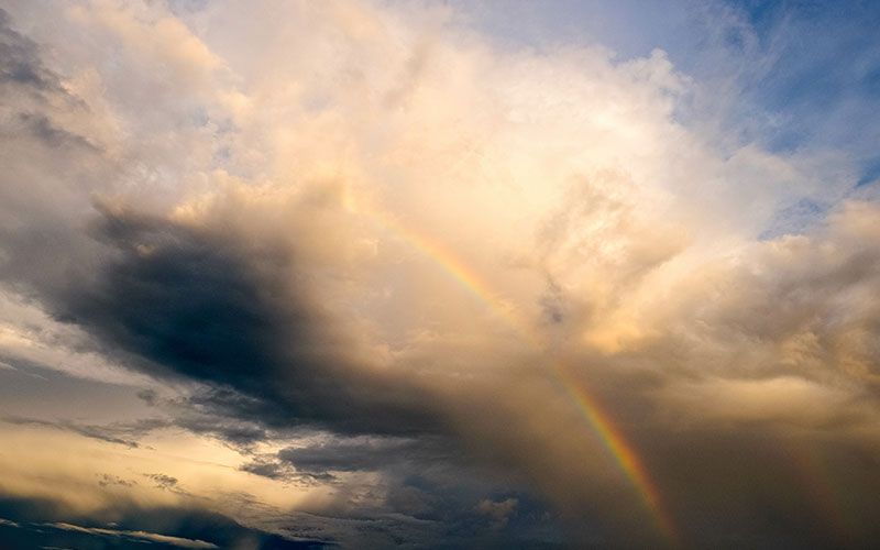 Reflections on a Year of Lockdown