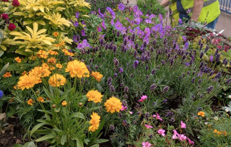 Stourbridge in Bloom