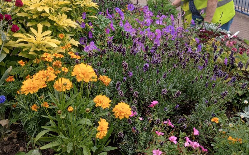 Stourbridge in Bloom