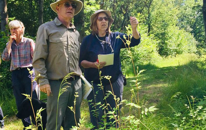 Wellbeing with Nature