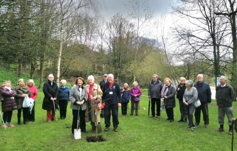 Planting Across the Movement