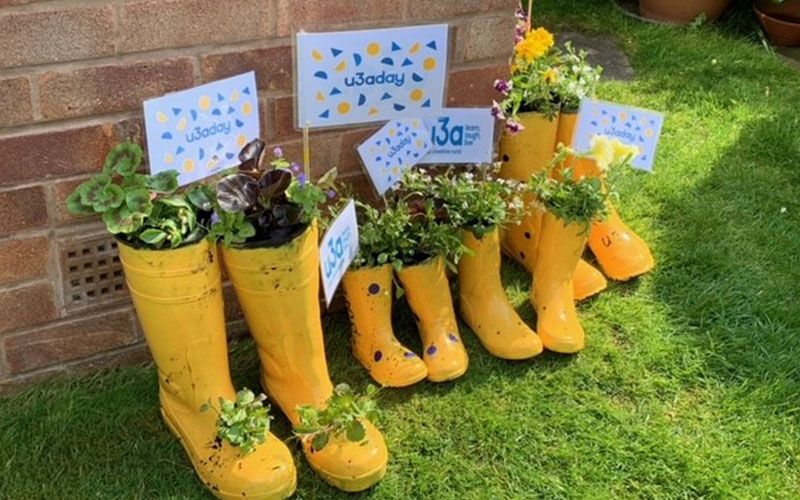 u3a day is here