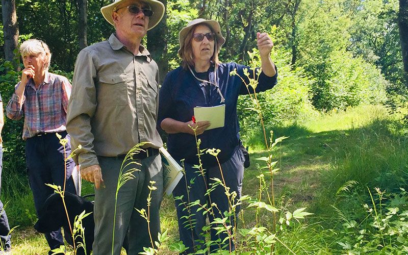 Wellbeing with Nature