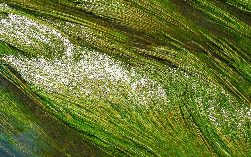 A Virtual Photography Competition