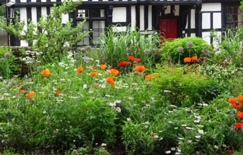 Ledbury U3A During Lockdown