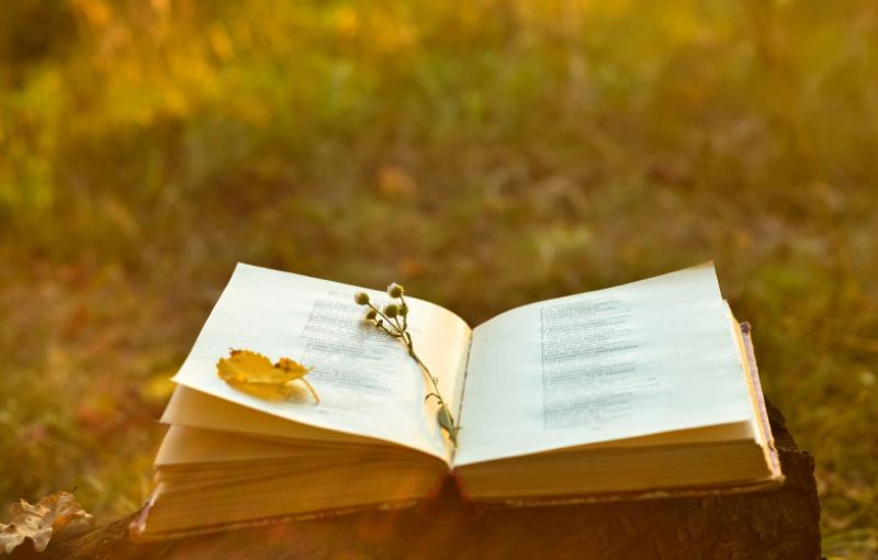 u3a Movement Connects Through Poetry